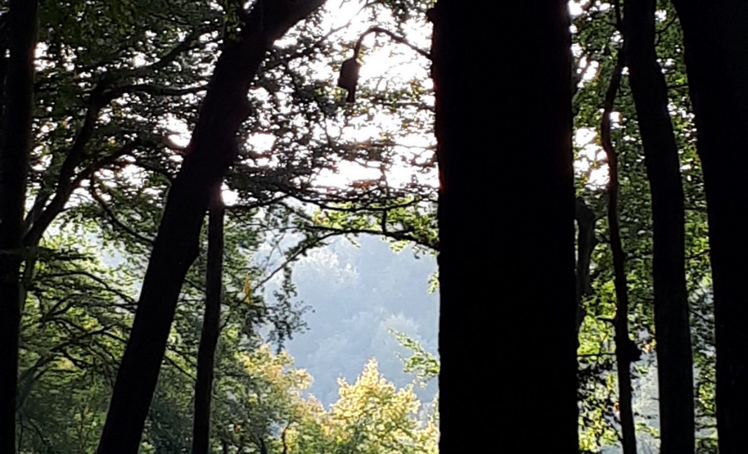 20170929_171549