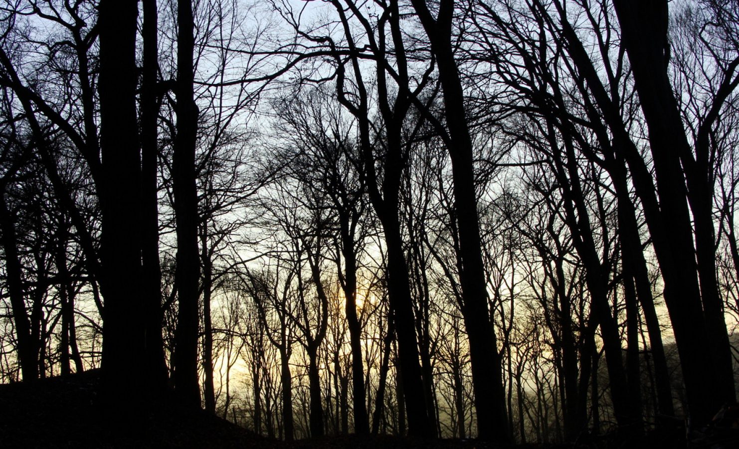 DSC04969